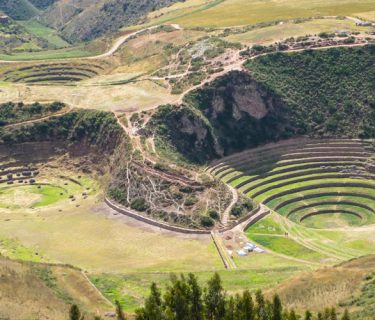 Maras Moray