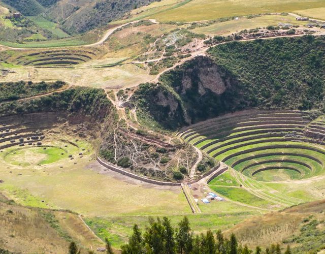Maras Moray